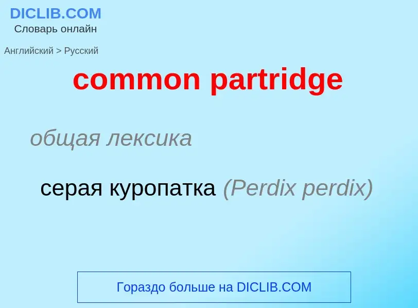 Как переводится common partridge на Русский язык