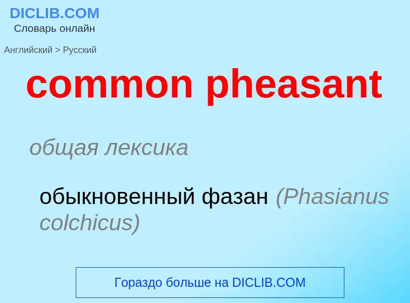 ¿Cómo se dice common pheasant en Ruso? Traducción de &#39common pheasant&#39 al Ruso