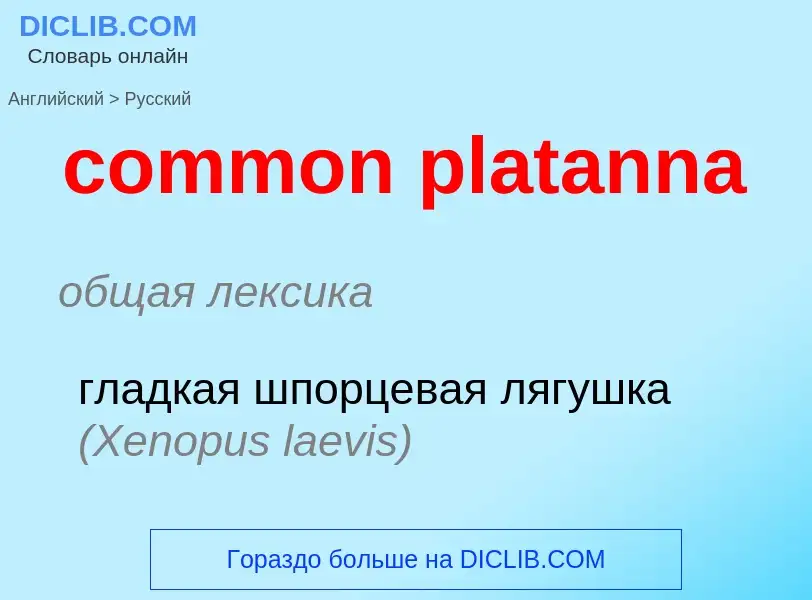 Como se diz common platanna em Russo? Tradução de &#39common platanna&#39 em Russo