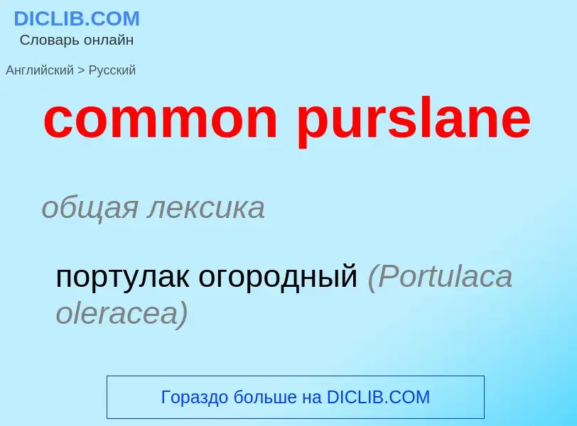 ¿Cómo se dice common purslane en Ruso? Traducción de &#39common purslane&#39 al Ruso