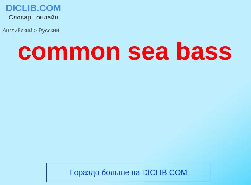 Как переводится common sea bass на Русский язык