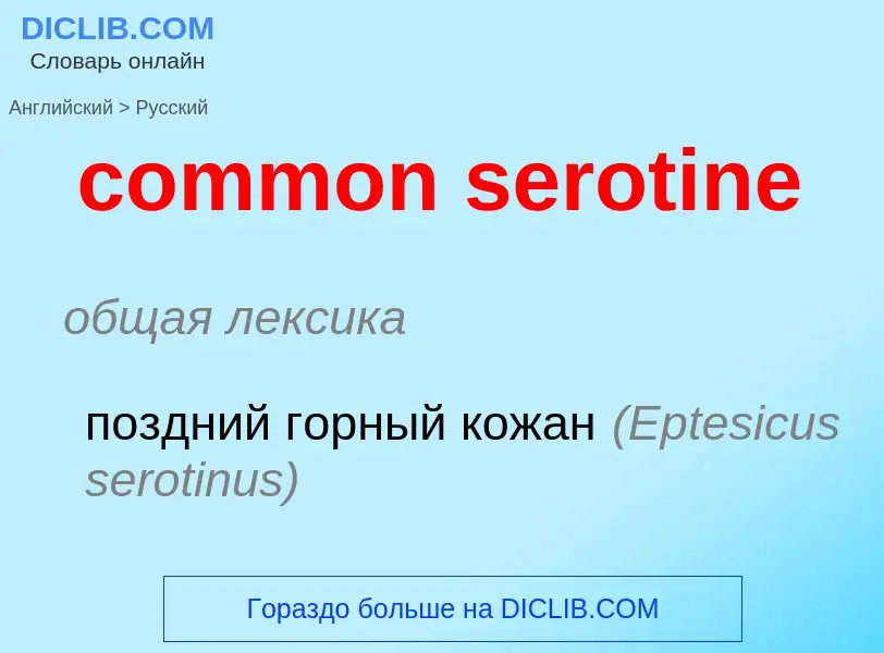 ¿Cómo se dice common serotine en Ruso? Traducción de &#39common serotine&#39 al Ruso