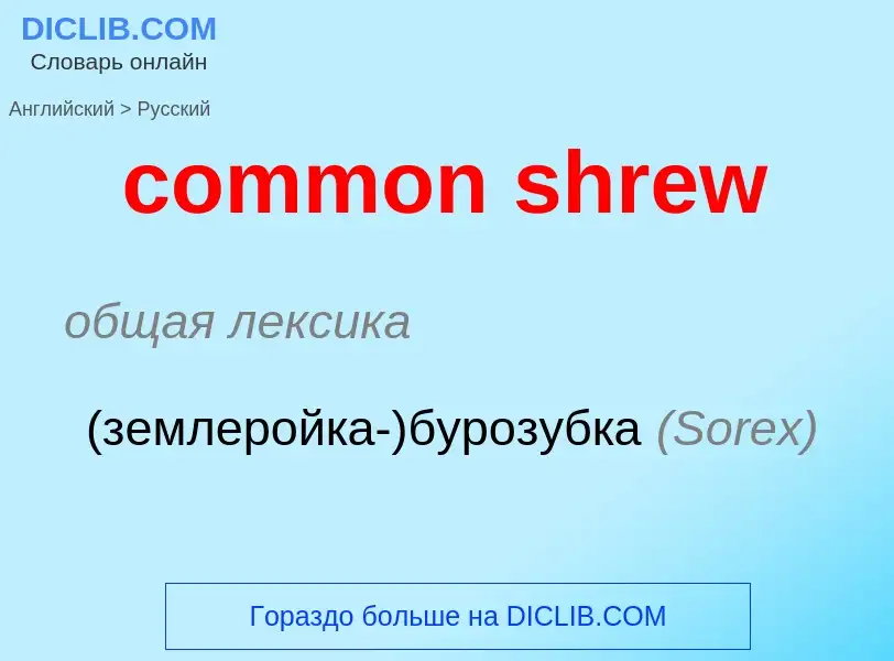 Как переводится common shrew на Русский язык