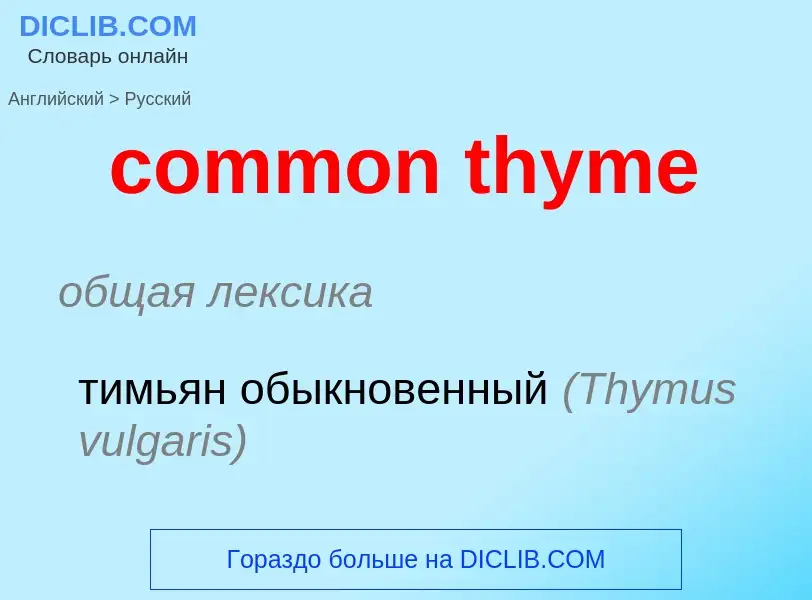 ¿Cómo se dice common thyme en Ruso? Traducción de &#39common thyme&#39 al Ruso