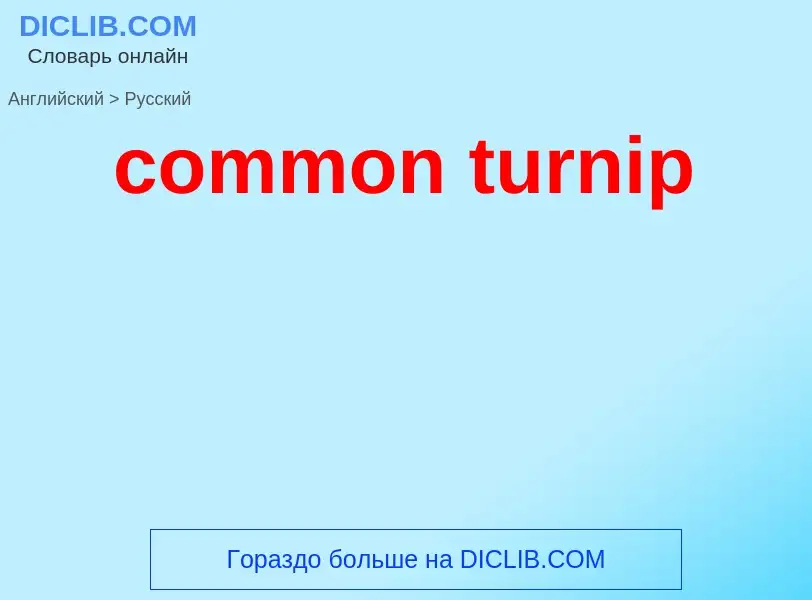 Как переводится common turnip на Русский язык