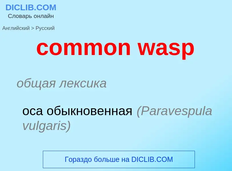 What is the الروسية for common wasp? Translation of &#39common wasp&#39 to الروسية