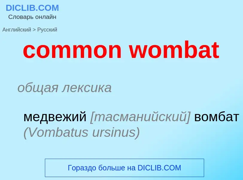 Как переводится common wombat на Русский язык