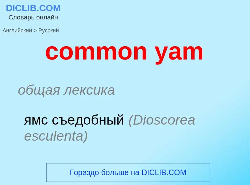 Como se diz common yam em Russo? Tradução de &#39common yam&#39 em Russo