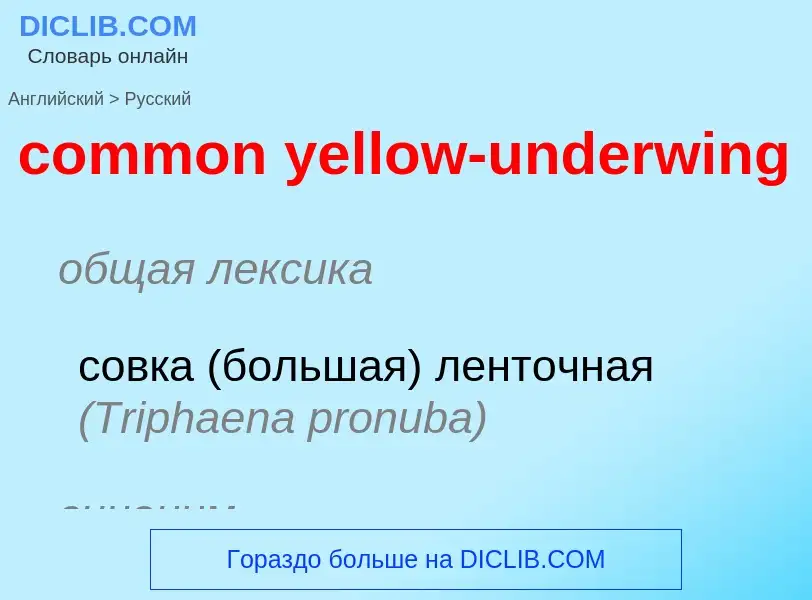 Como se diz common yellow-underwing em Russo? Tradução de &#39common yellow-underwing&#39 em Russo