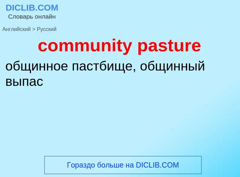 Как переводится community pasture на Русский язык