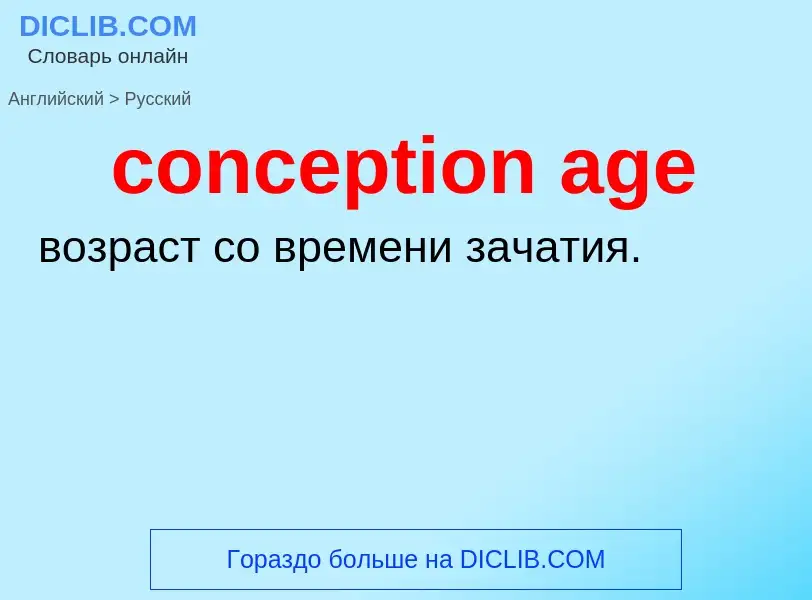 Как переводится conception age на Русский язык