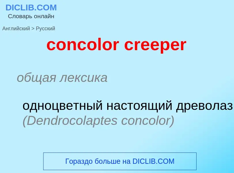 Μετάφραση του &#39concolor creeper&#39 σε Ρωσικά