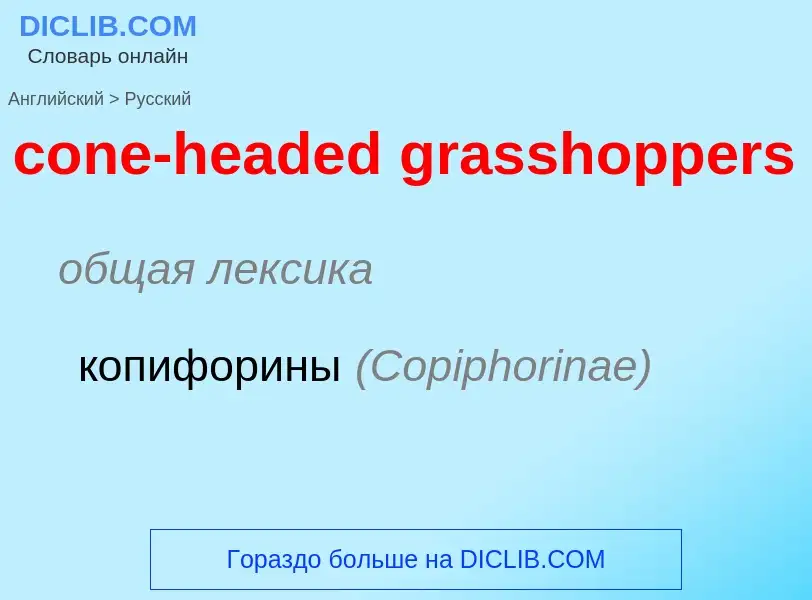 Как переводится cone-headed grasshoppers на Русский язык