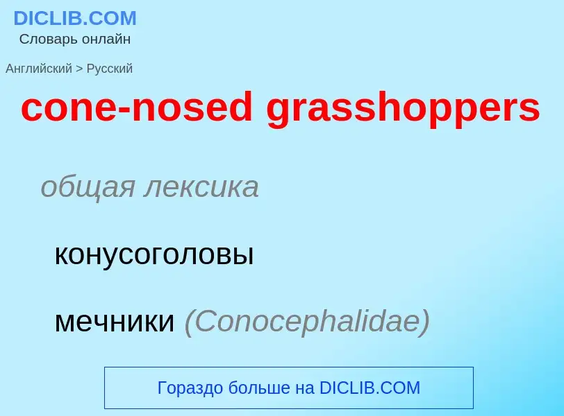 Как переводится cone-nosed grasshoppers на Русский язык