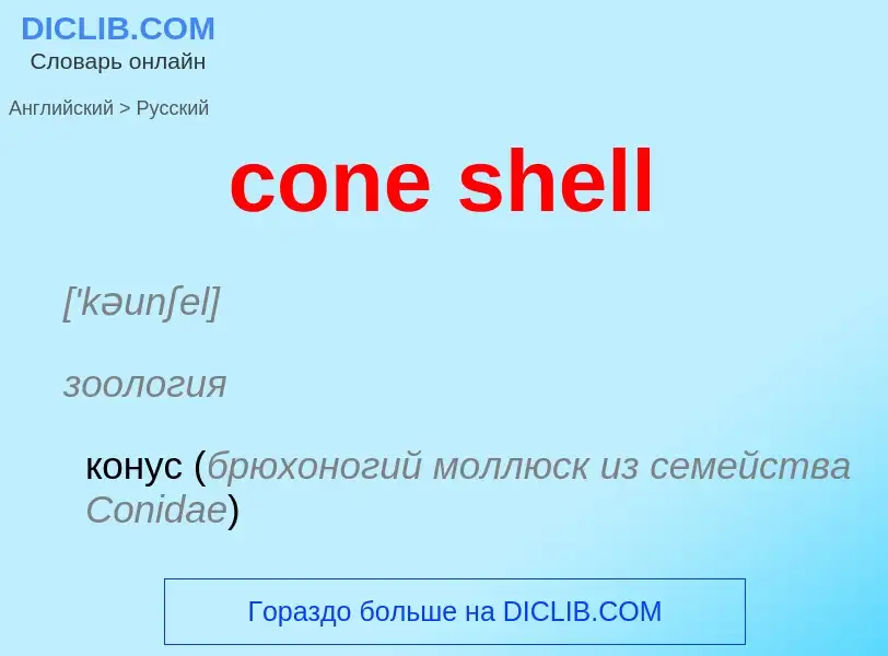 Как переводится cone shell на Русский язык