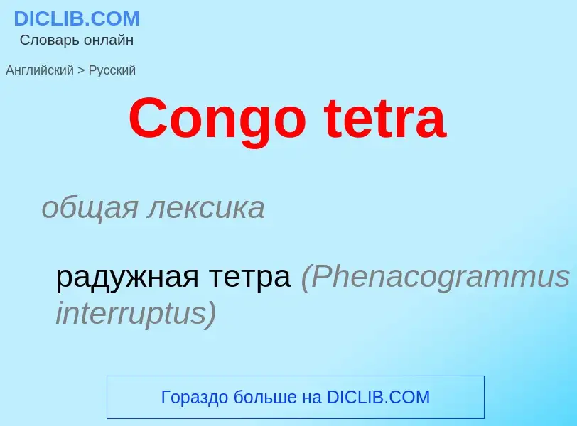 Как переводится Congo tetra на Русский язык