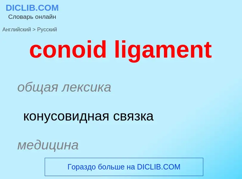 Μετάφραση του &#39conoid ligament&#39 σε Ρωσικά