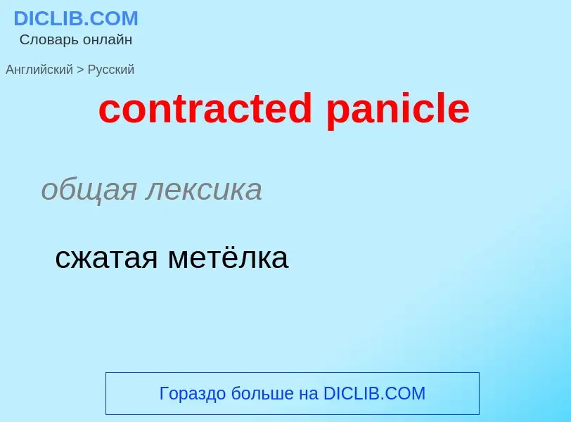 Как переводится contracted panicle на Русский язык