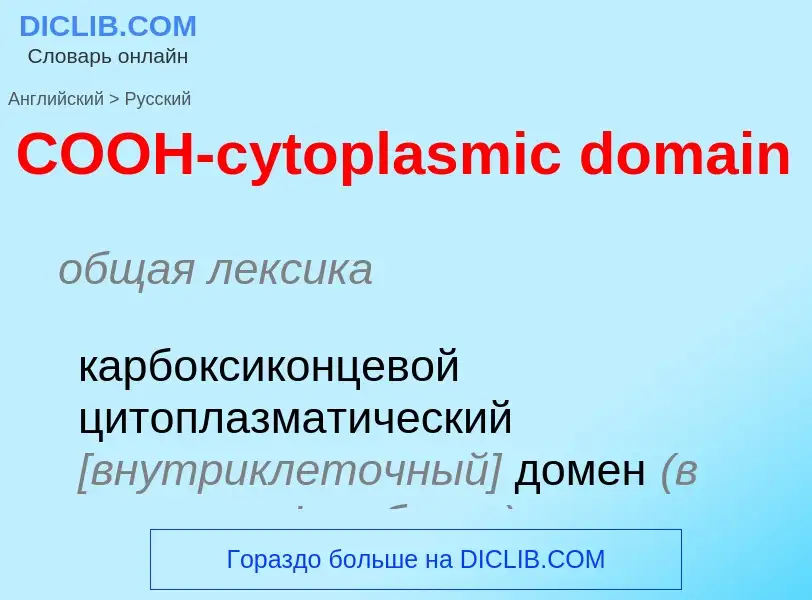 Übersetzung von &#39COOH-cytoplasmic domain&#39 in Russisch