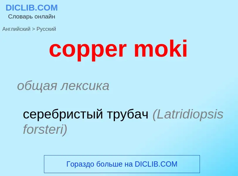 What is the الروسية for copper moki? Translation of &#39copper moki&#39 to الروسية