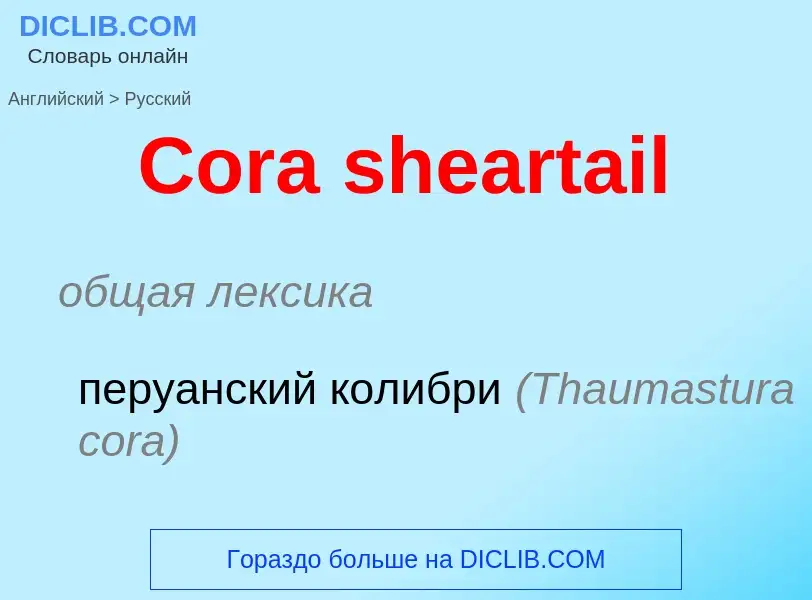 Как переводится Cora sheartail на Русский язык