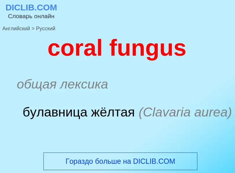 Μετάφραση του &#39coral fungus&#39 σε Ρωσικά