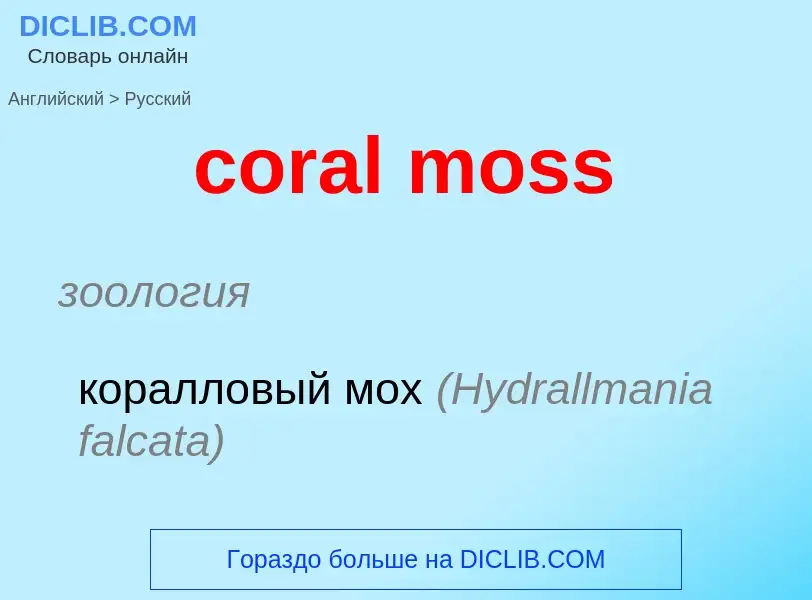 Как переводится coral moss на Русский язык