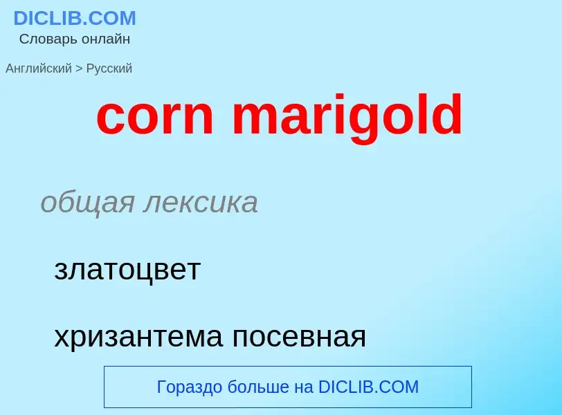 Как переводится corn marigold на Русский язык