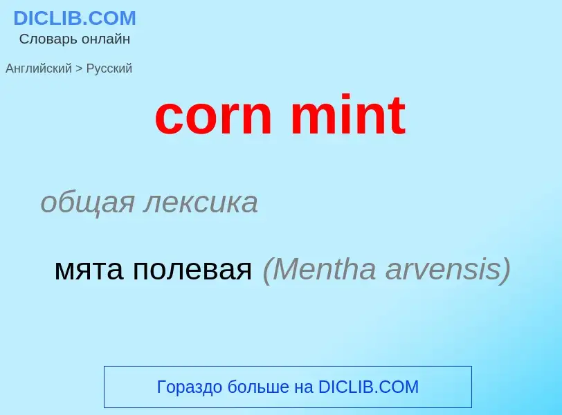 What is the Russian for corn mint? Translation of &#39corn mint&#39 to Russian