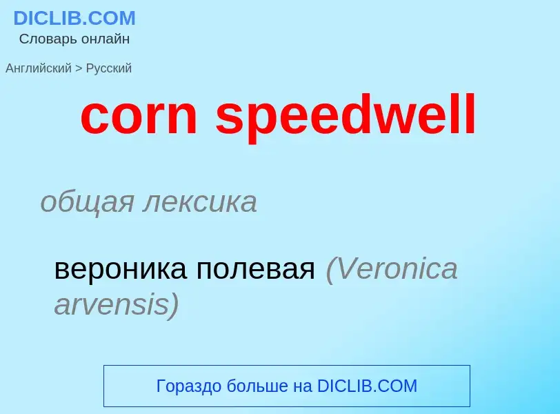 Μετάφραση του &#39corn speedwell&#39 σε Ρωσικά