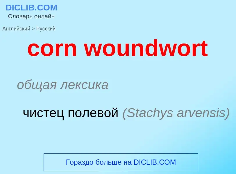 What is the الروسية for corn woundwort? Translation of &#39corn woundwort&#39 to الروسية