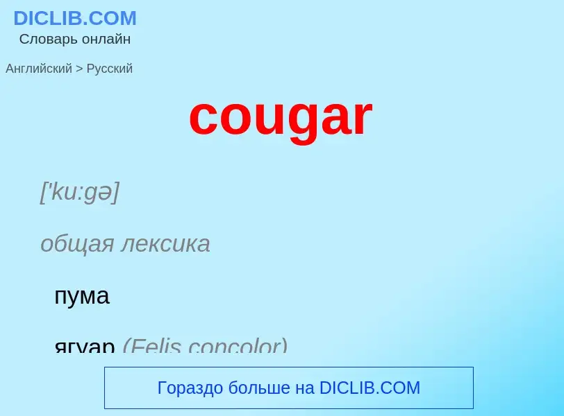 ¿Cómo se dice cougar en Ruso? Traducción de &#39cougar&#39 al Ruso