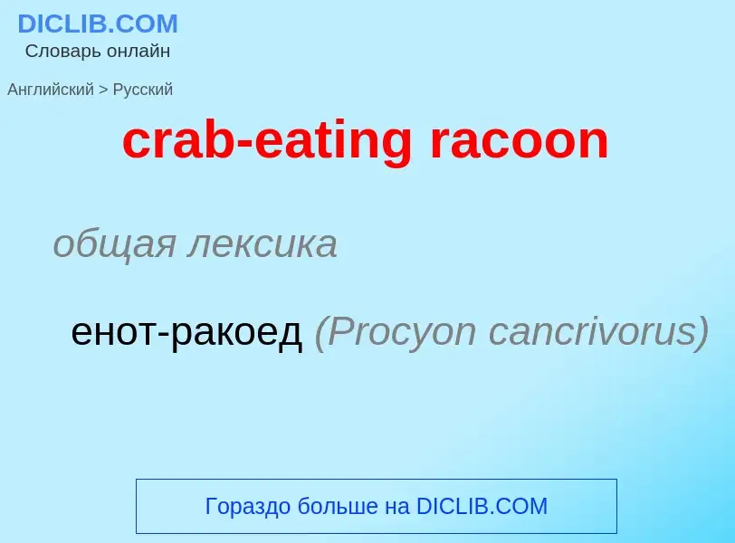 ¿Cómo se dice crab-eating racoon en Ruso? Traducción de &#39crab-eating racoon&#39 al Ruso