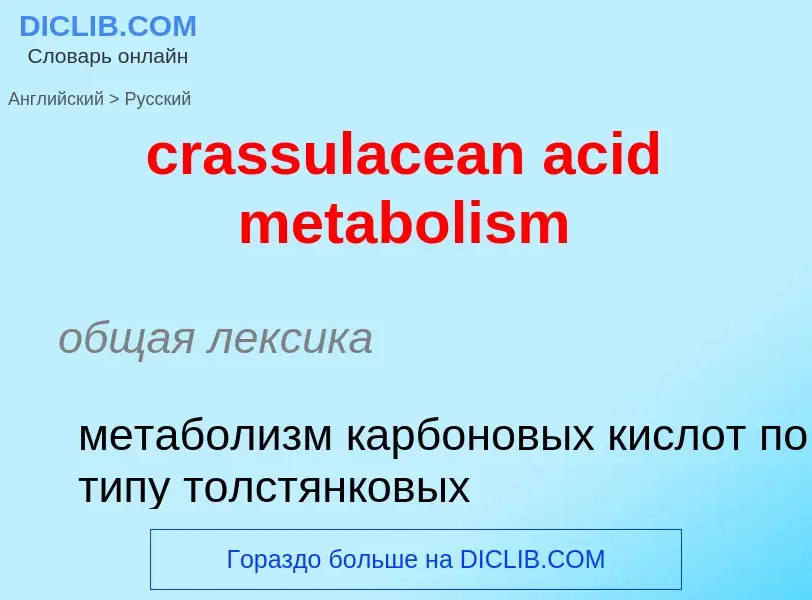 Übersetzung von &#39crassulacean acid metabolism&#39 in Russisch