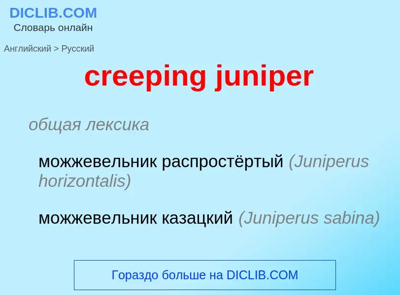 Как переводится creeping juniper на Русский язык