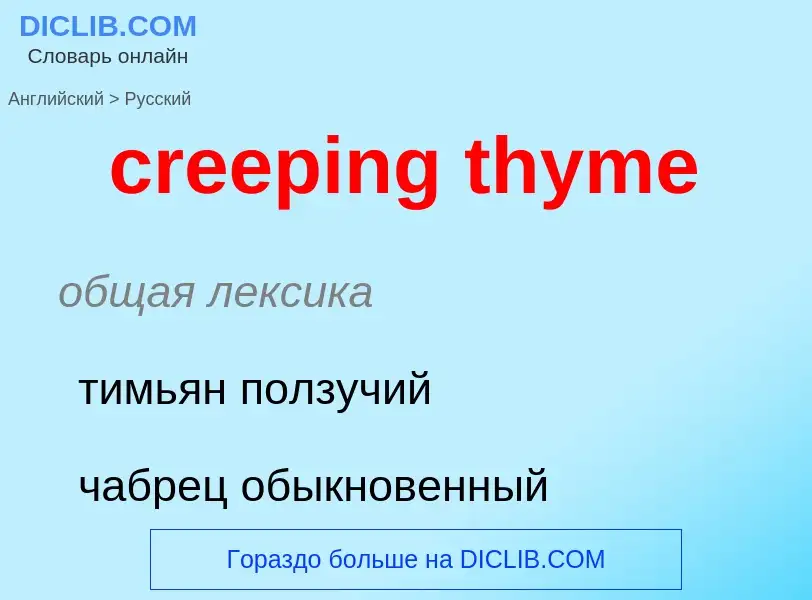 ¿Cómo se dice creeping thyme en Ruso? Traducción de &#39creeping thyme&#39 al Ruso