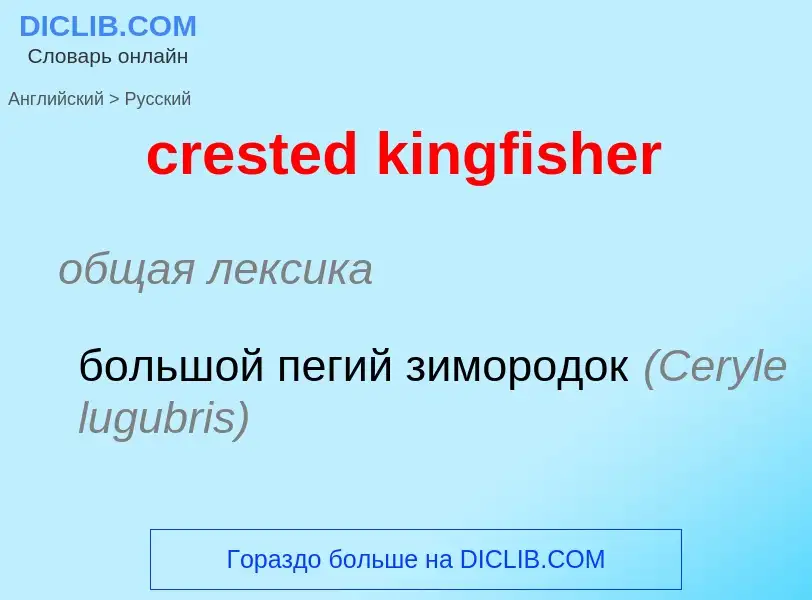 Μετάφραση του &#39crested kingfisher&#39 σε Ρωσικά