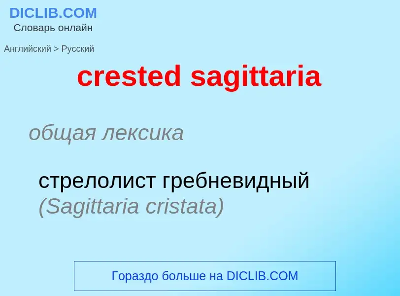 ¿Cómo se dice crested sagittaria en Ruso? Traducción de &#39crested sagittaria&#39 al Ruso