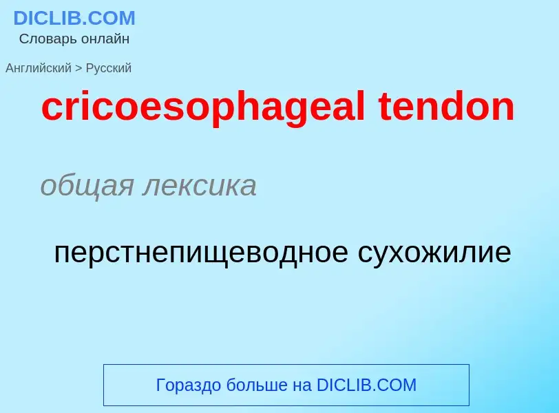 Как переводится cricoesophageal tendon на Русский язык