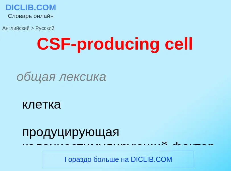 Como se diz CSF-producing cell em Russo? Tradução de &#39CSF-producing cell&#39 em Russo