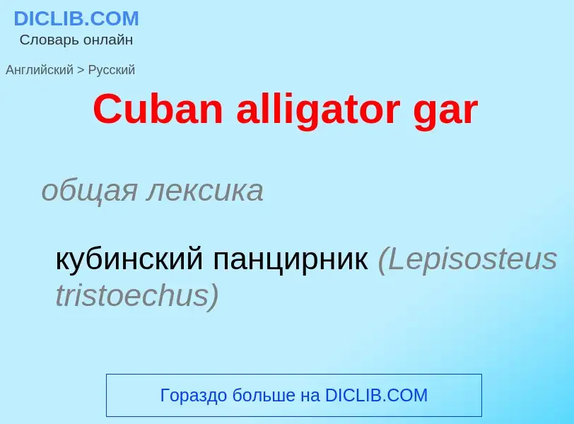 What is the Russian for Cuban alligator gar? Translation of &#39Cuban alligator gar&#39 to Russian