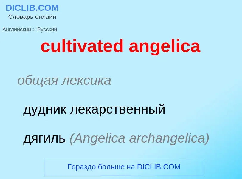 Como se diz cultivated angelica em Russo? Tradução de &#39cultivated angelica&#39 em Russo