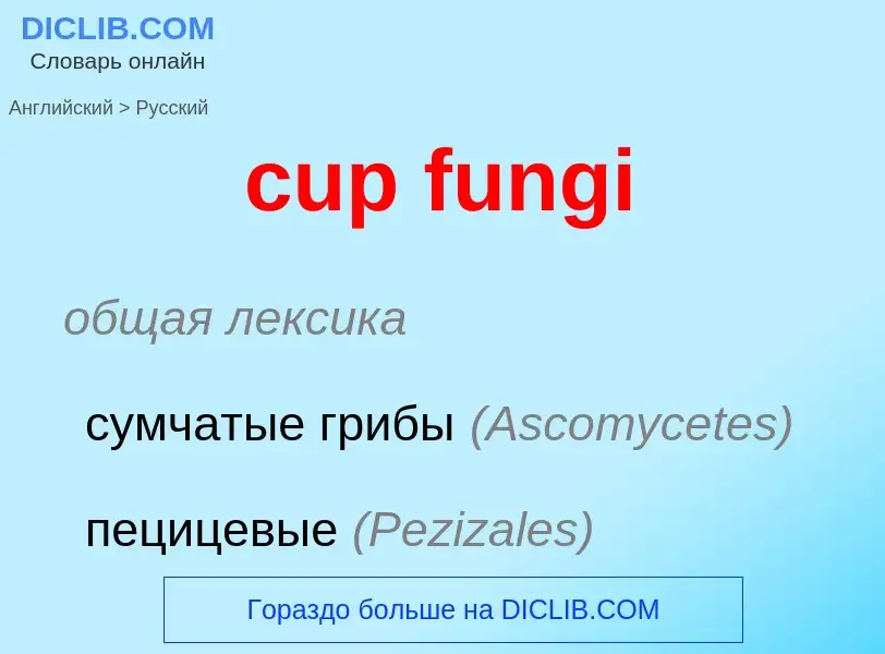 Μετάφραση του &#39cup fungi&#39 σε Ρωσικά