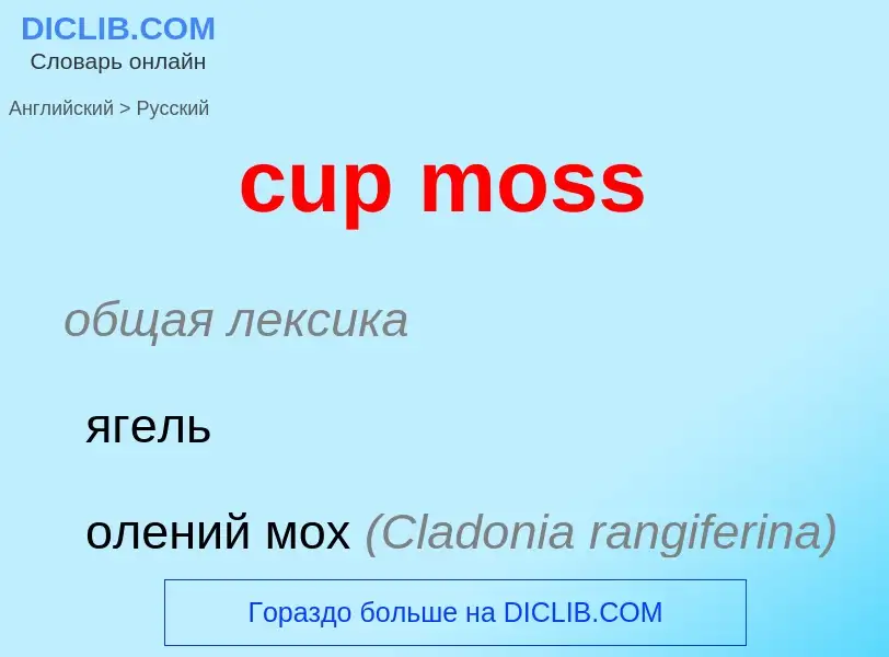 Como se diz cup moss em Russo? Tradução de &#39cup moss&#39 em Russo