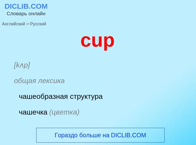 What is the الروسية for cup? Translation of &#39cup&#39 to الروسية