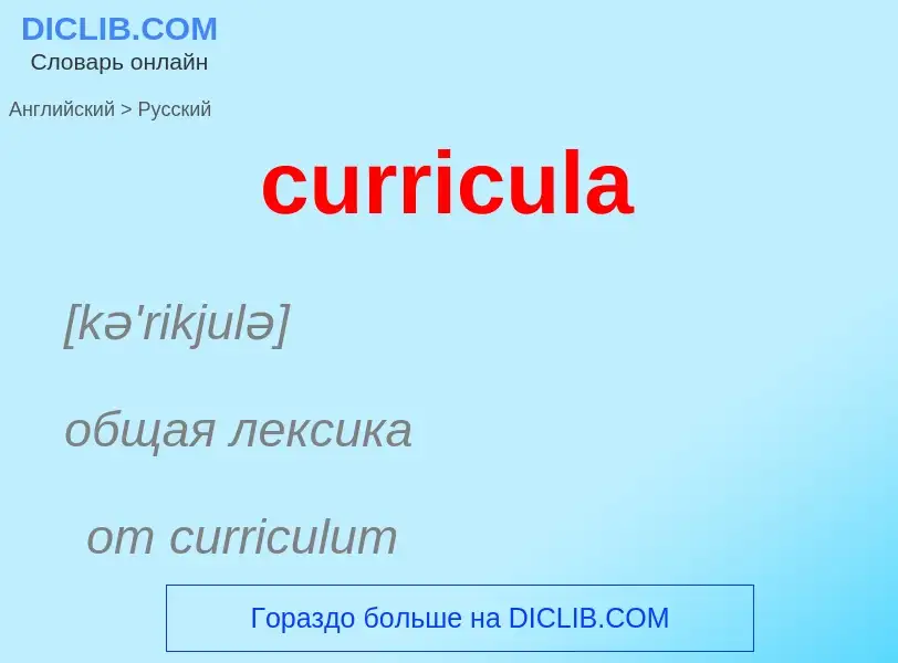 Как переводится curricula на Русский язык