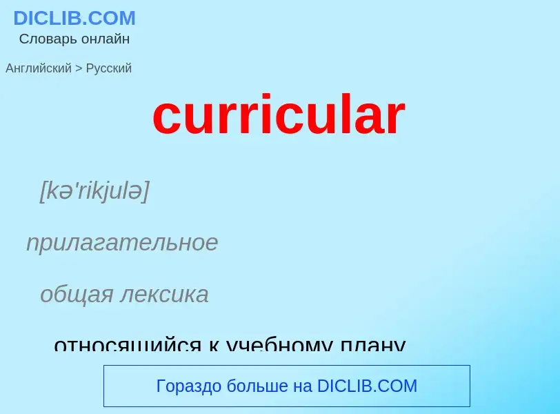 Как переводится curricular на Русский язык