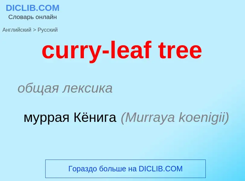 Как переводится curry-leaf tree на Русский язык