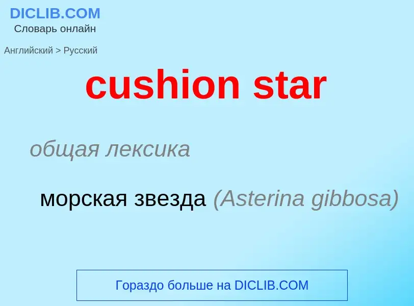 Как переводится cushion star на Русский язык