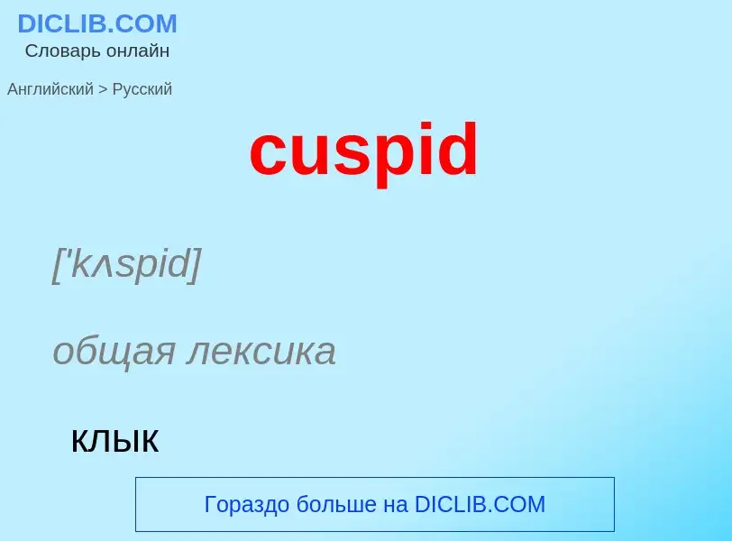 Как переводится cuspid на Русский язык